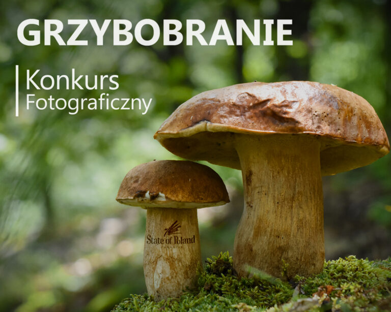 Konkurs „Polskie Grzybobranie”